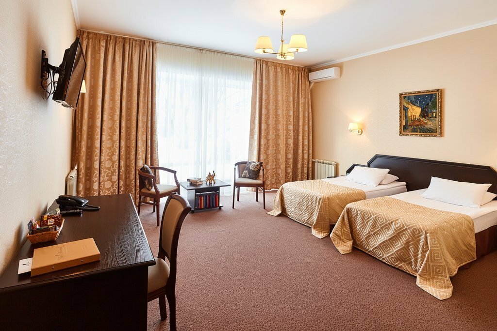 Гостиница Граф Толстой Брянск-170