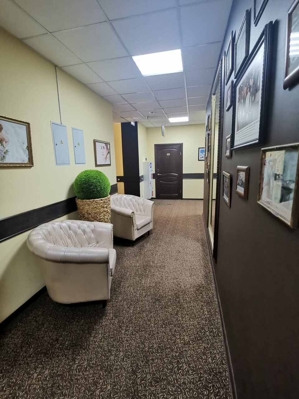 Гостиница Граф Толстой Брянск-209