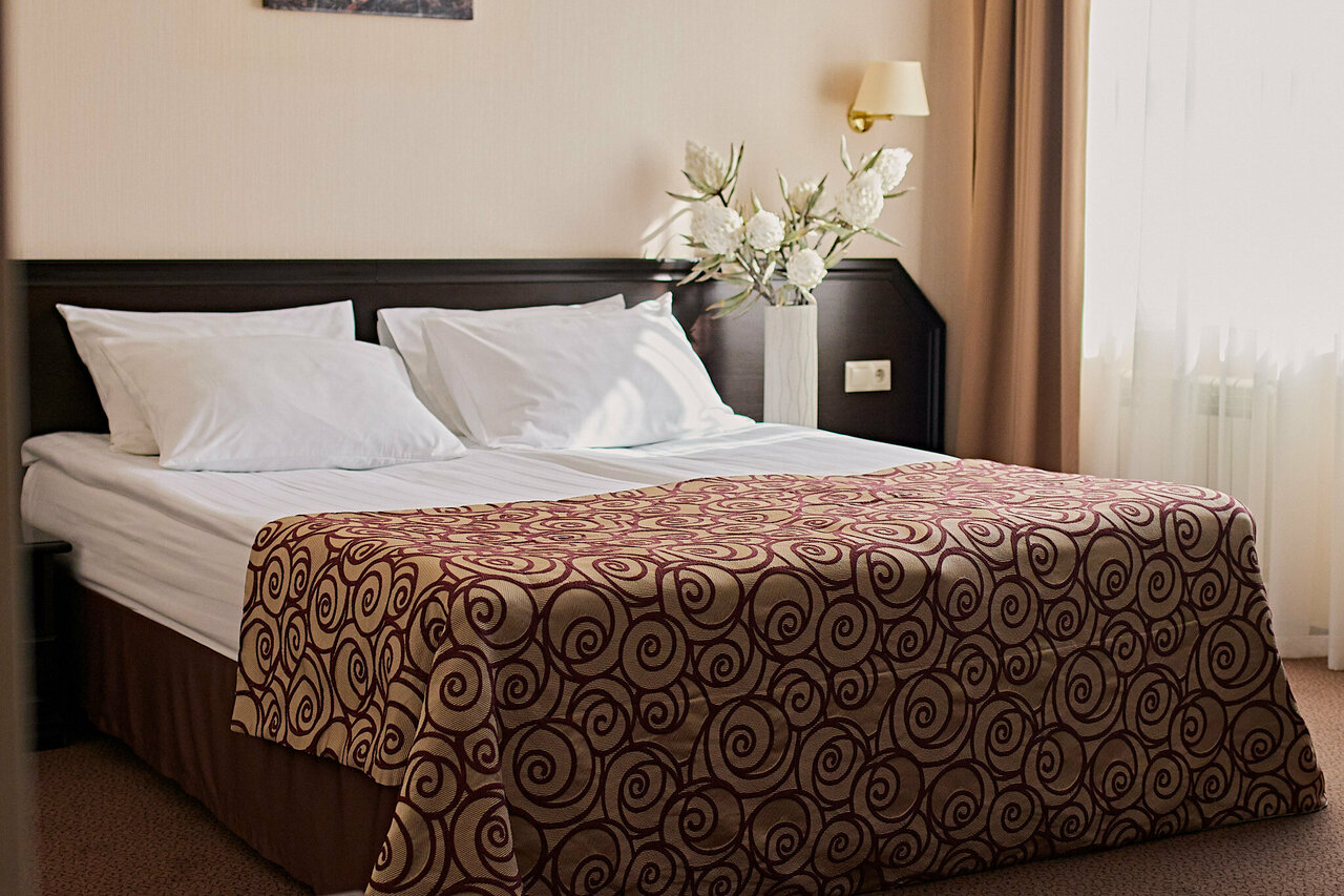 Гостиница Граф Толстой Брянск-93