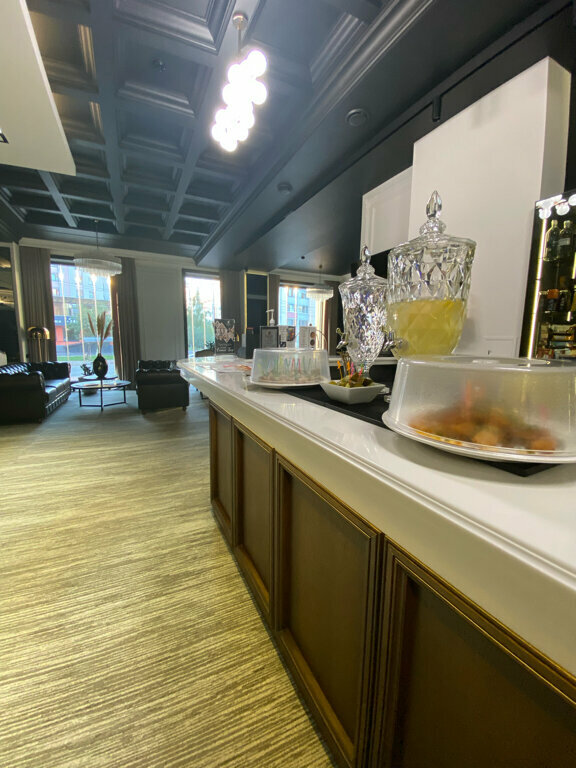 Гостиница Граф Толстой Брянск-240