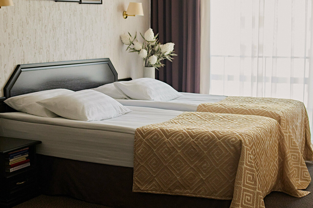 Гостиница Граф Толстой Брянск-107