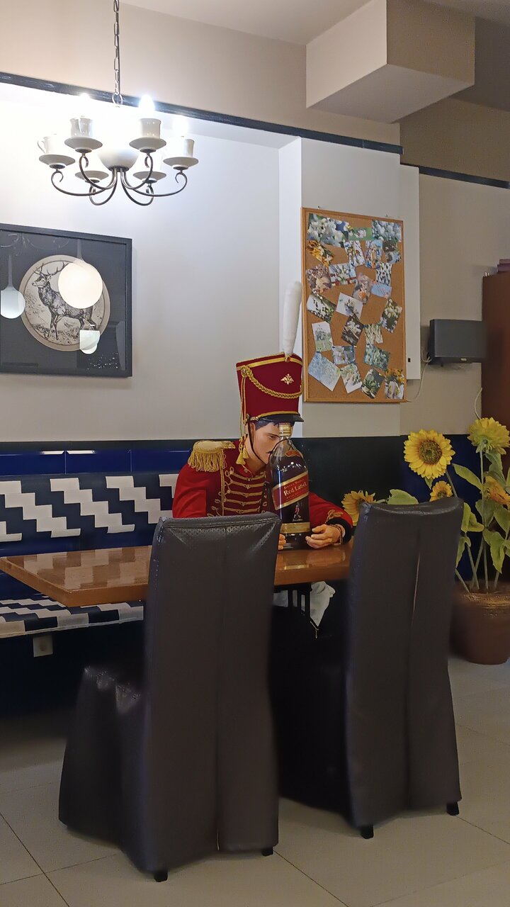 Гостиница Граф Толстой Брянск-242