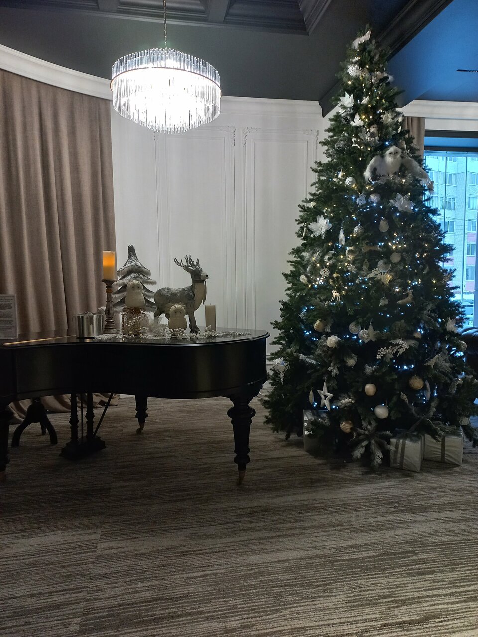 Гостиница Граф Толстой Брянск-239