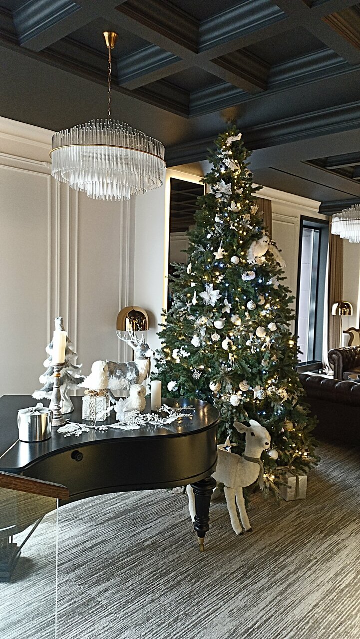 Гостиница Граф Толстой Брянск-223