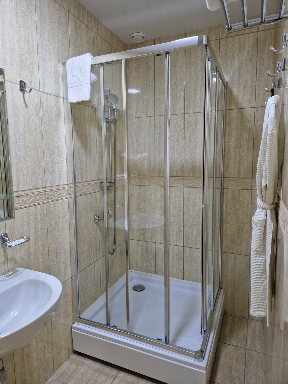 Гостиница Граф Толстой Брянск-205