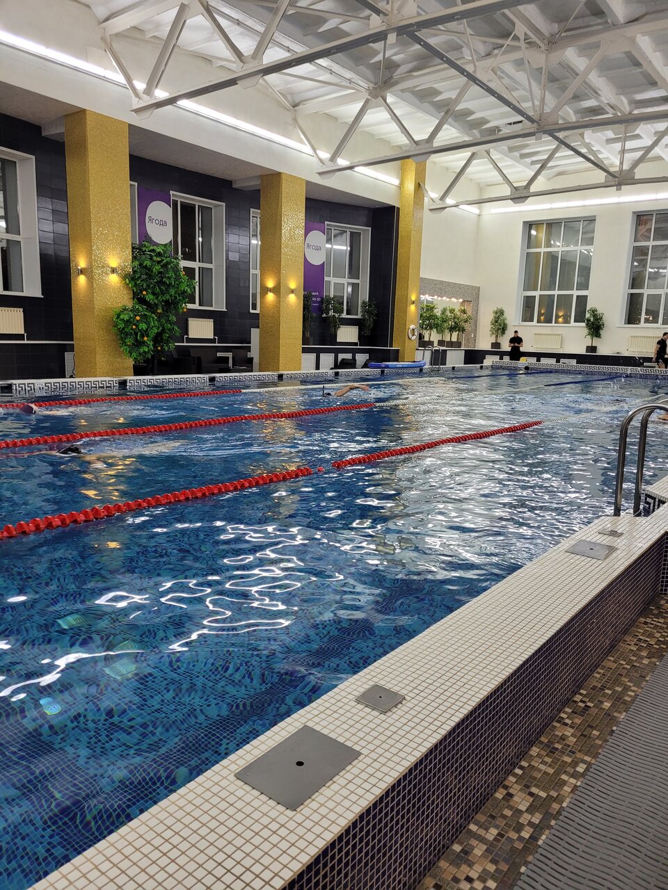 Гостиница Граф Толстой Брянск-232