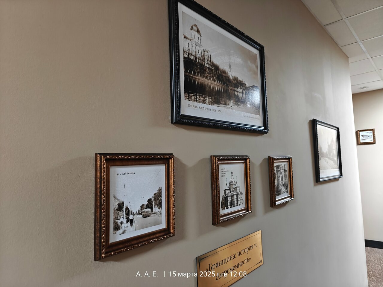 Гостиница Граф Толстой Брянск-218