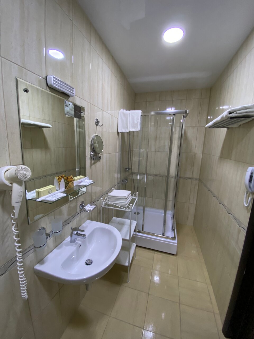 Гостиница Граф Толстой Брянск-244