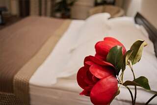 Гостиница Граф Толстой Брянск Апартаменты-1