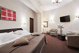 Гостиница Граф Толстой Брянск ДеЛюкс-8