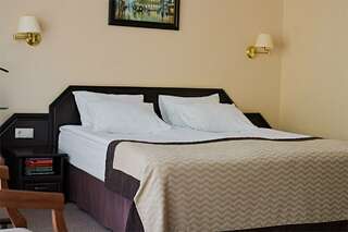 Гостиница Граф Толстой Брянск Полулюкс-3