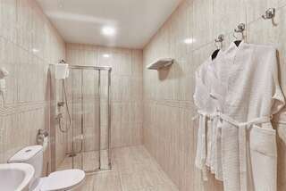 Гостиница Граф Толстой Брянск Бизнес-3