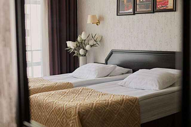 Гостиница Граф Толстой Брянск-118