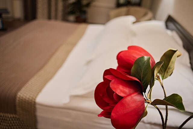 Гостиница Граф Толстой Брянск-95