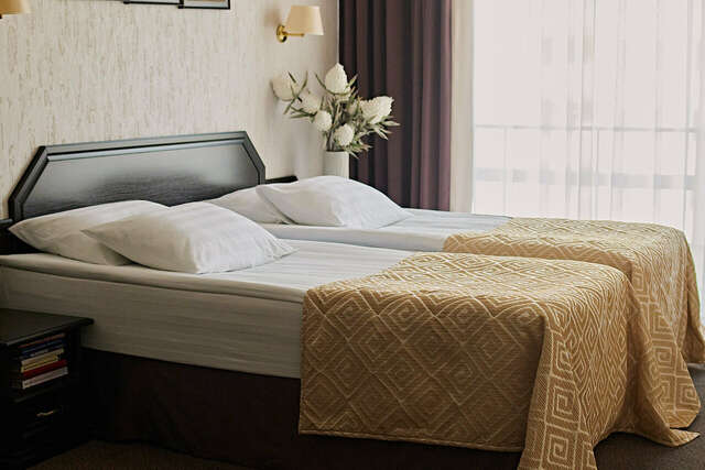 Гостиница Граф Толстой Брянск-106