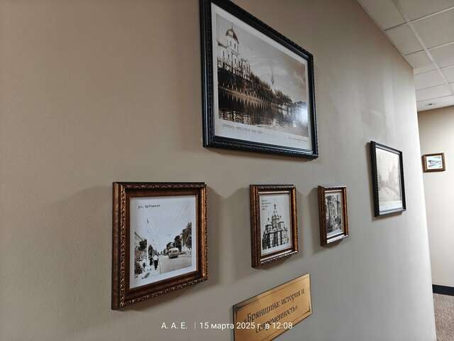 Гостиница Граф Толстой Брянск-217