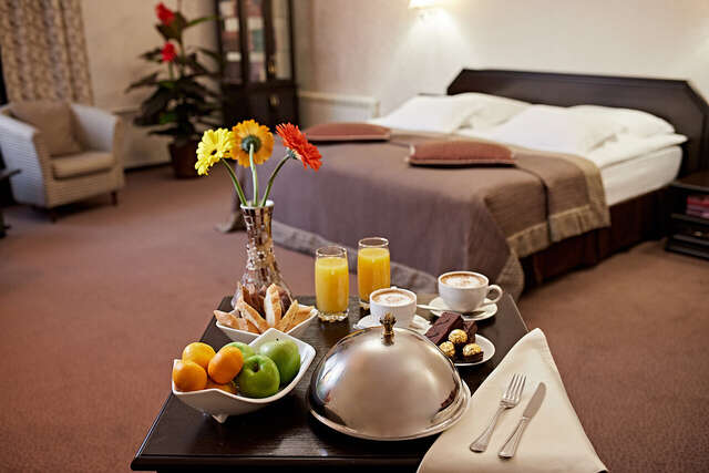 Гостиница Граф Толстой Брянск-187