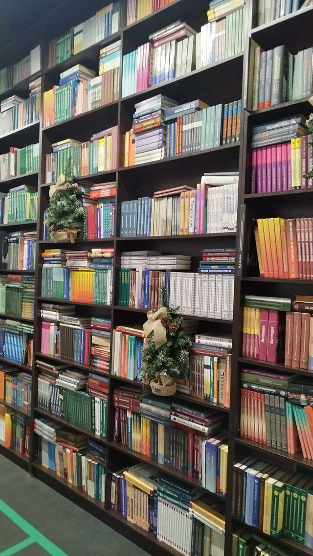 Гостиница Граф Толстой Брянск-230